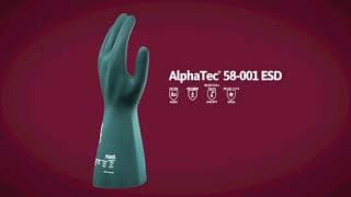 AlphaTec™ 58-001 ESD