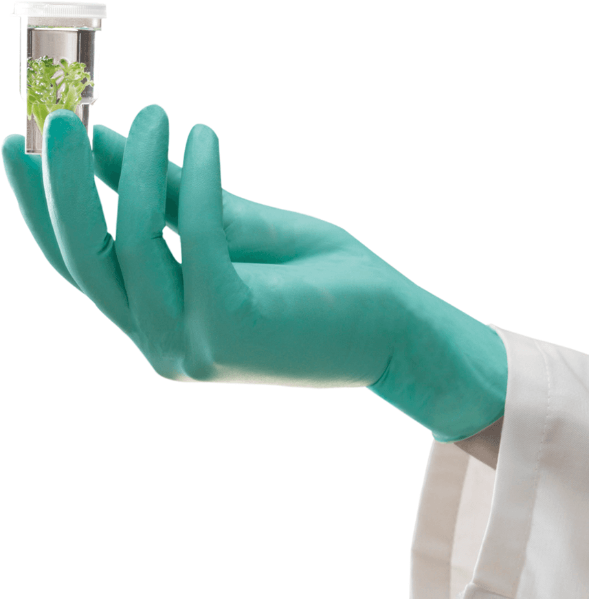 MICROFLEX™ NeoTouch™ 25-101
