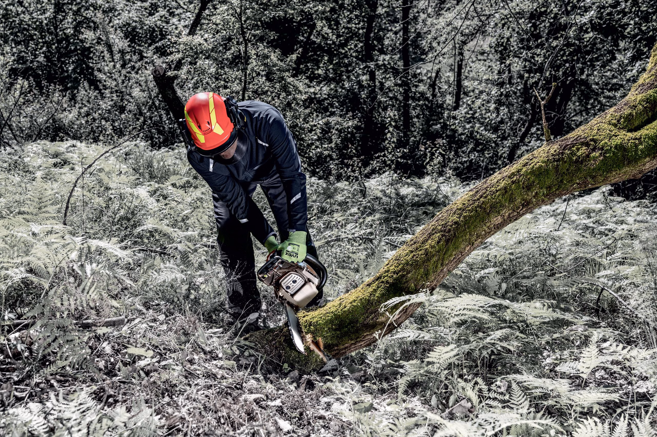 Koruyucu Baretler | uvex pheos forestry