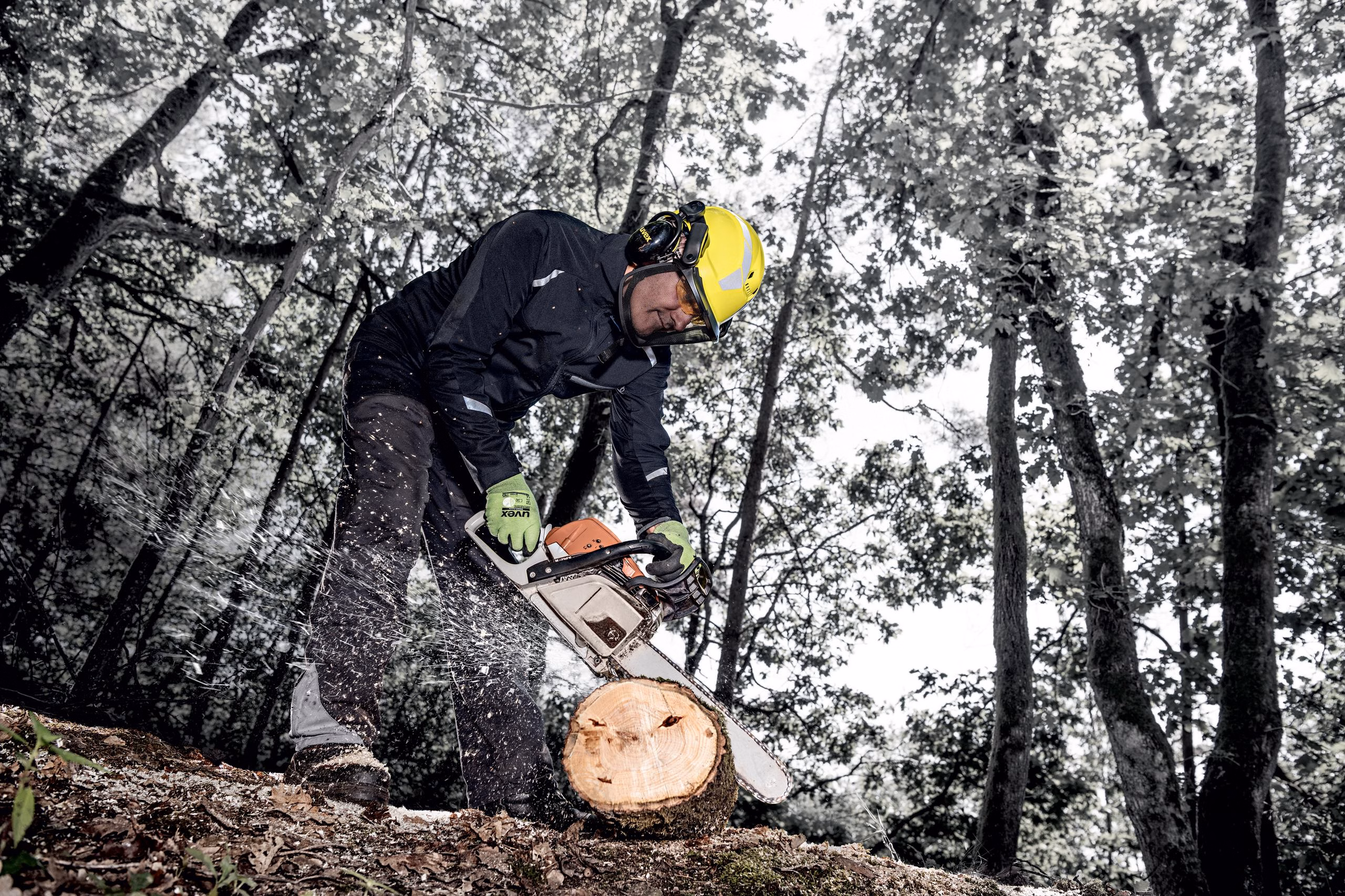 Koruyucu Baretler | uvex pheos forestry