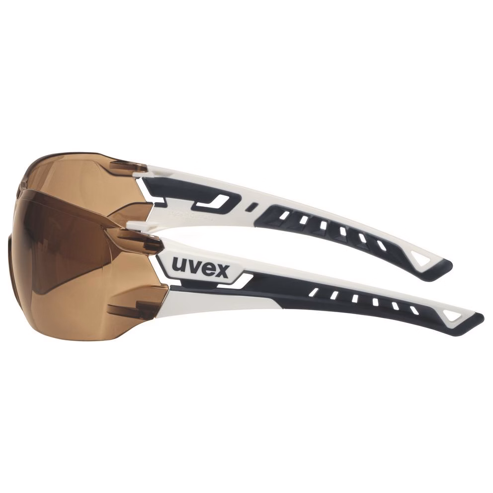 Koruyucu Gözlükler | uvex pheos nxt glasses
