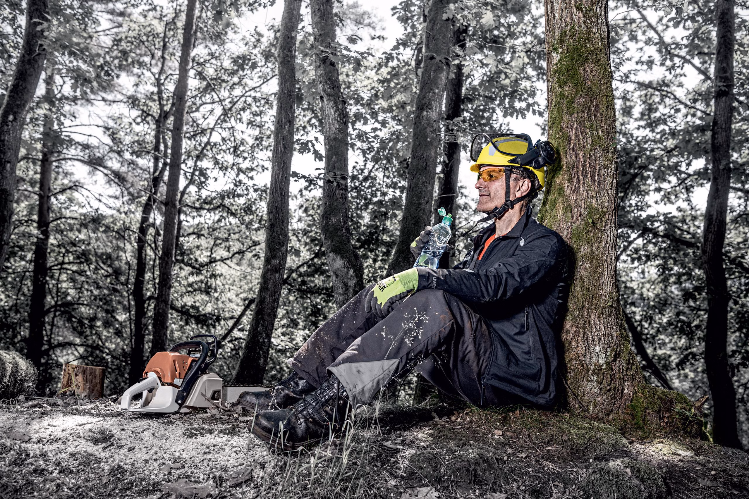 Koruyucu Baretler | uvex pheos forestry