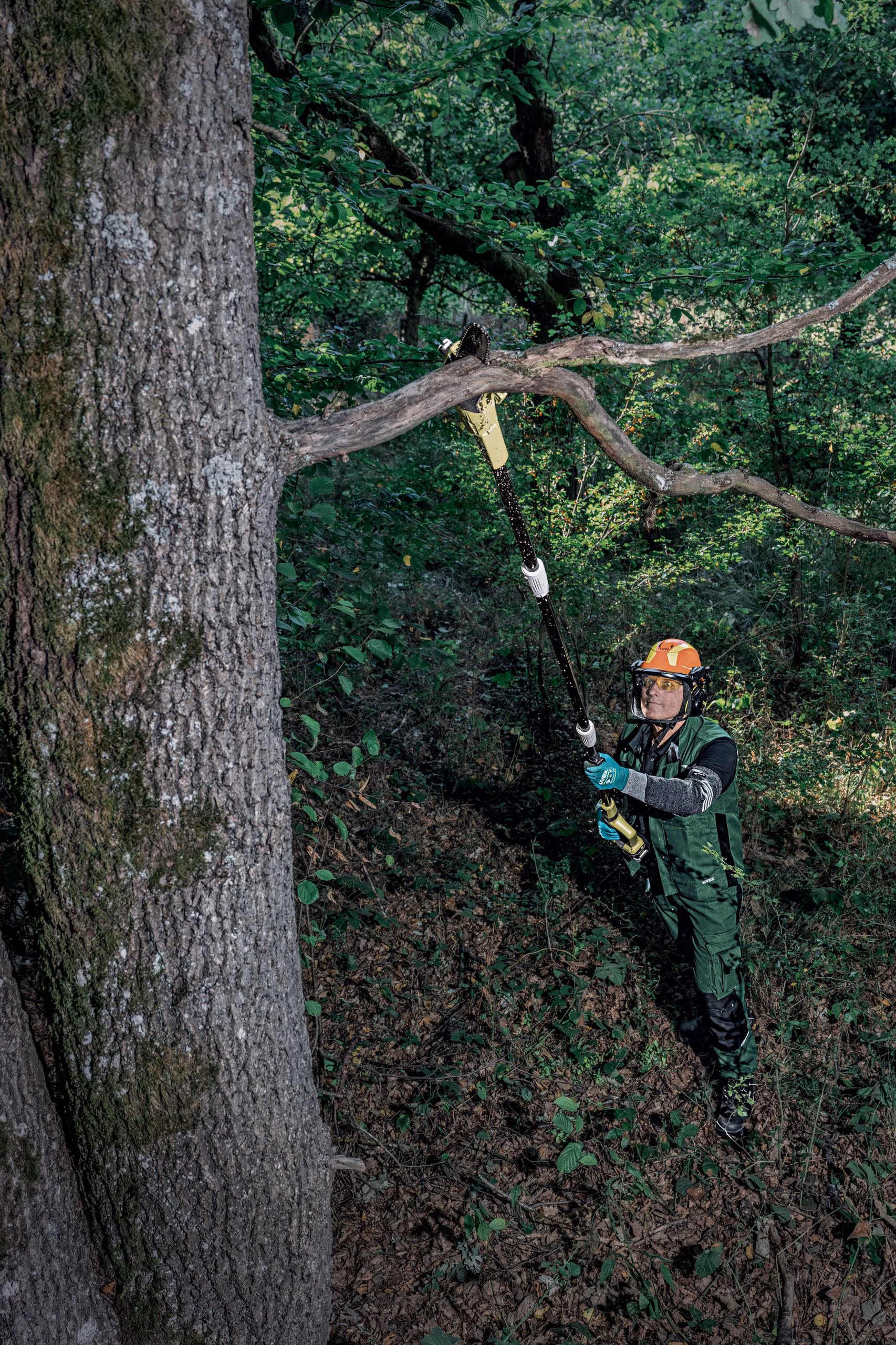 Koruyucu Baretler | uvex pheos forestry